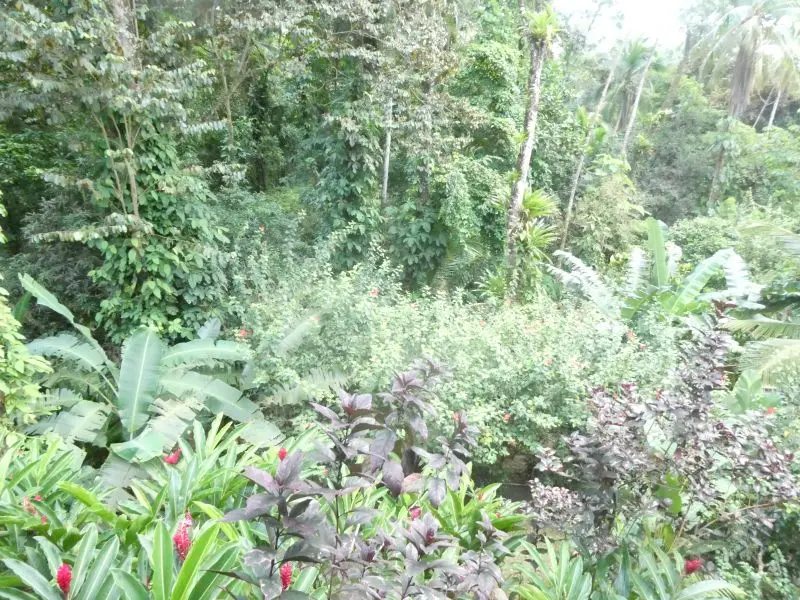 P1026914.JPG