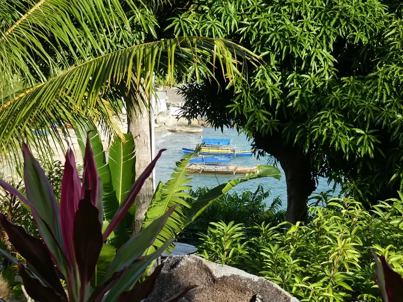 P1030220.JPG