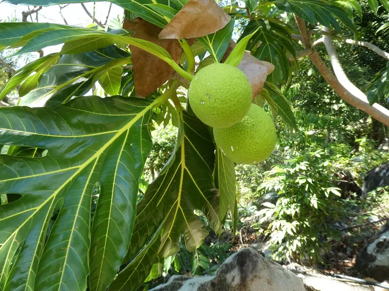 P1030328.JPG