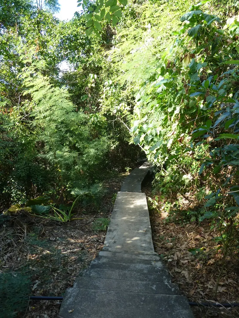 P1030383.JPG
