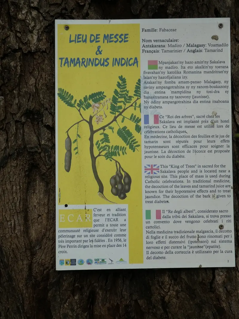 P1030562.JPG