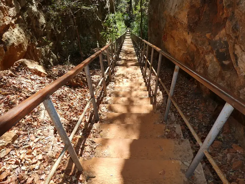 P1030575.JPG