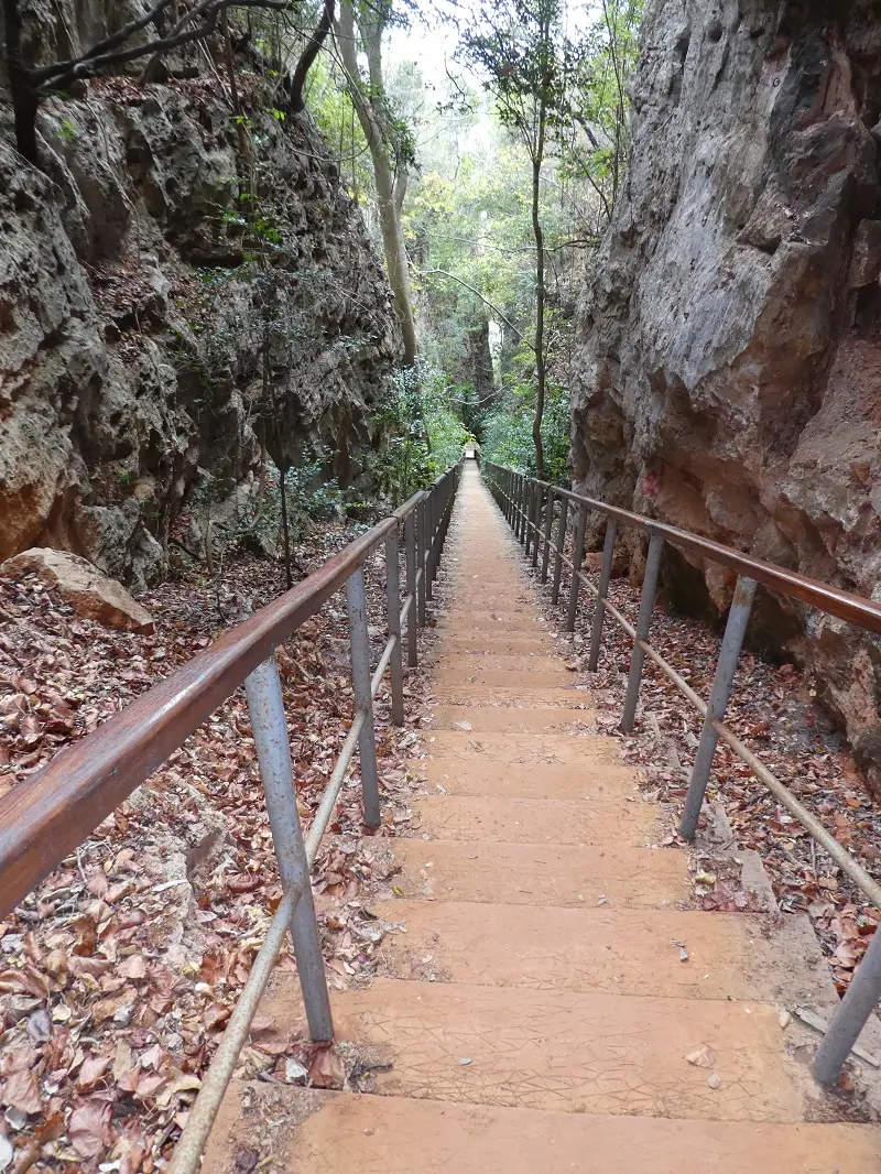 P1030585.JPG