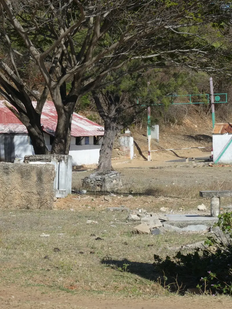 P1030623.JPG