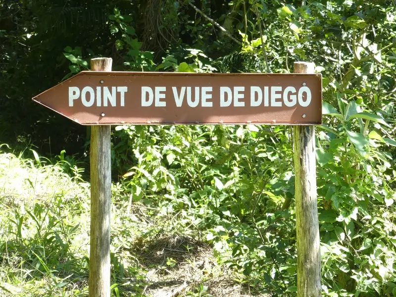 P1030730.JPG