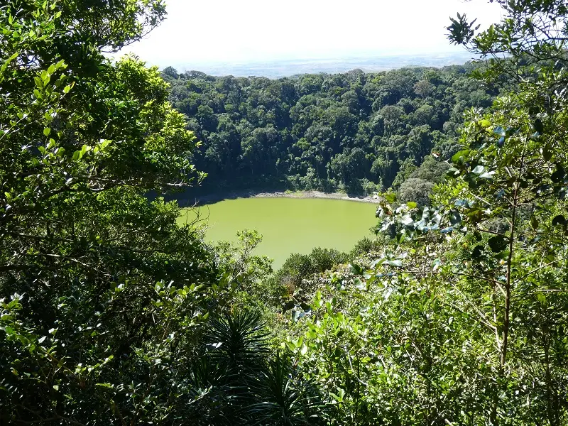 P1030733.JPG