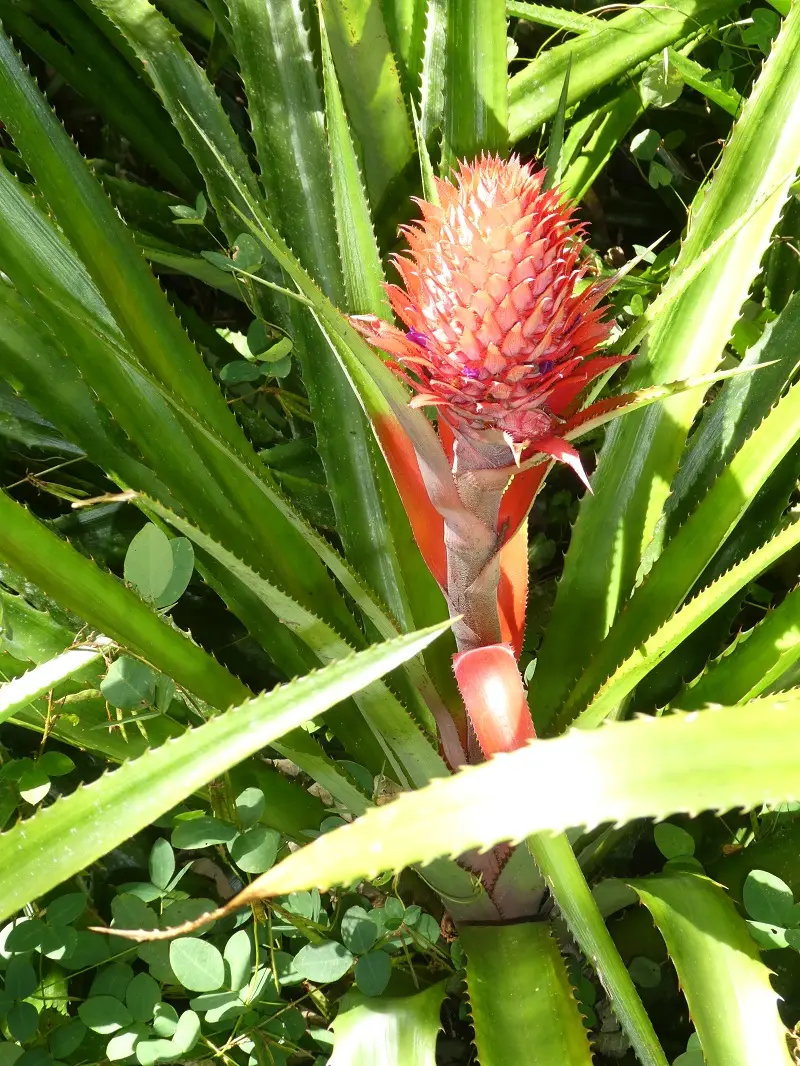 P1030755.JPG