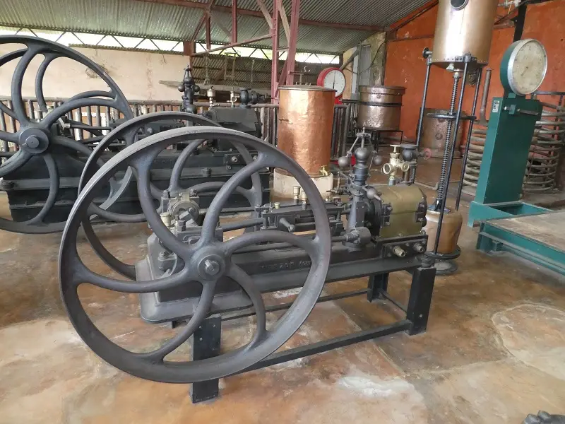 P1050115.JPG