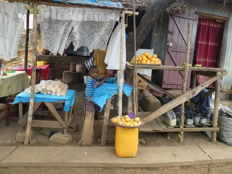 P1050121.JPG