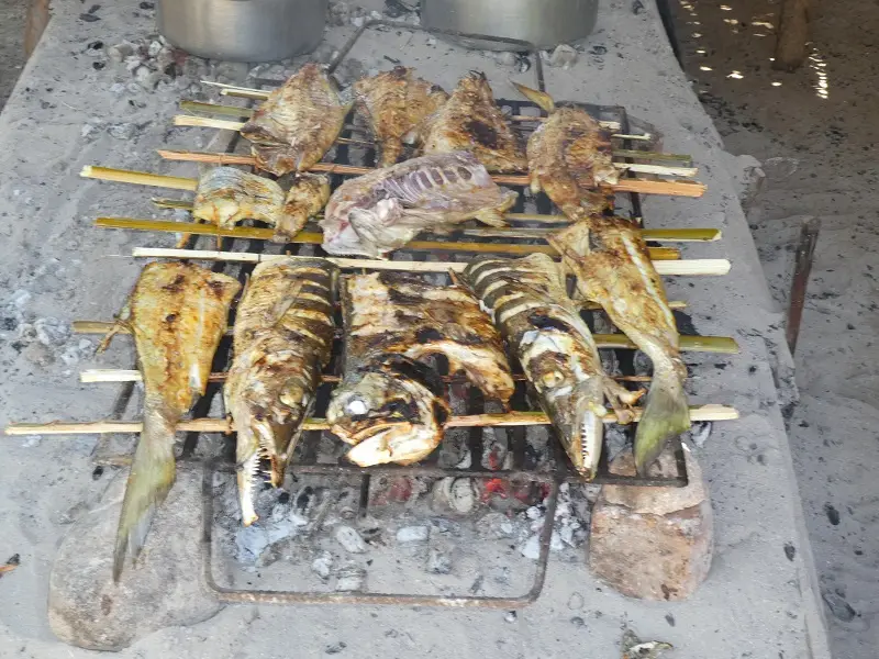 P1050215.JPG