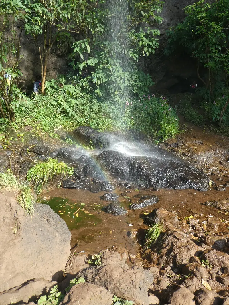 P1050477.JPG
