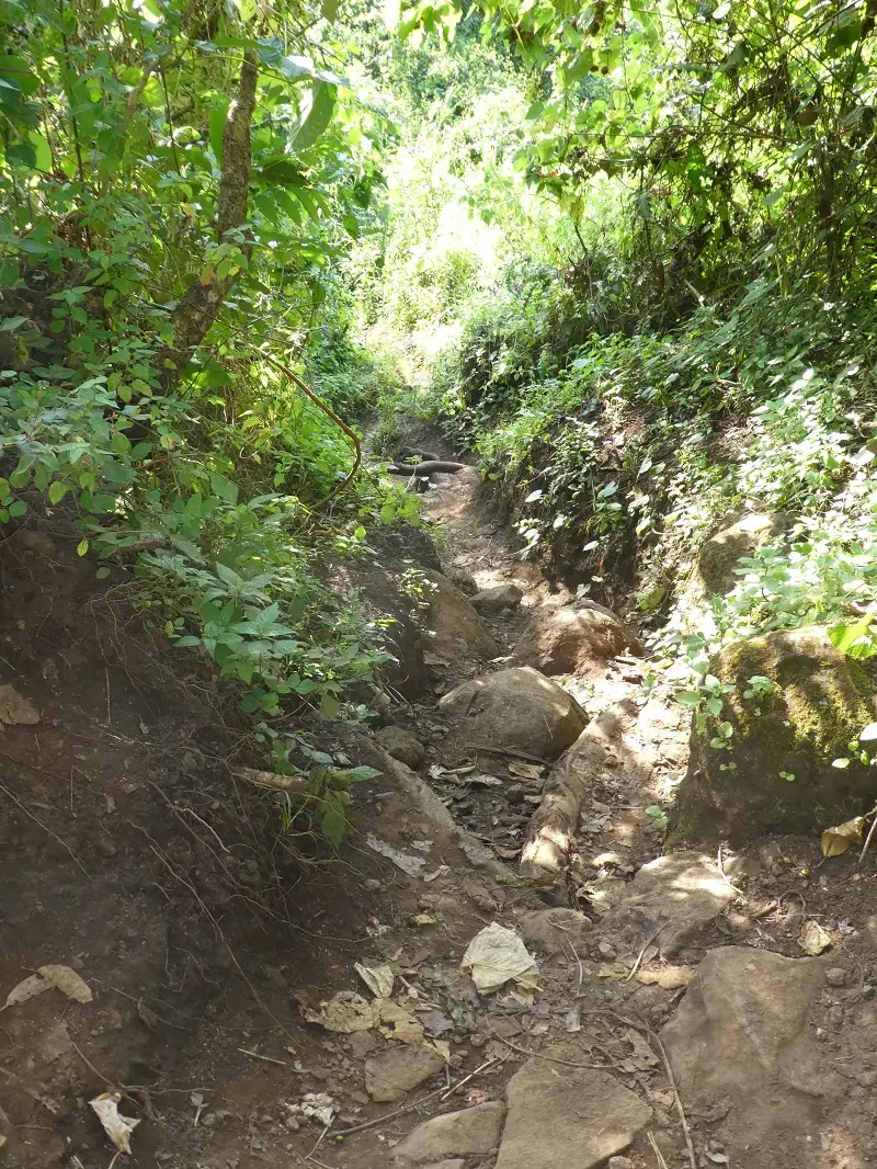 P1050480.JPG