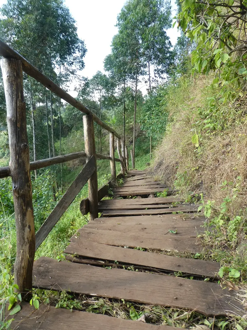 P1050481.JPG