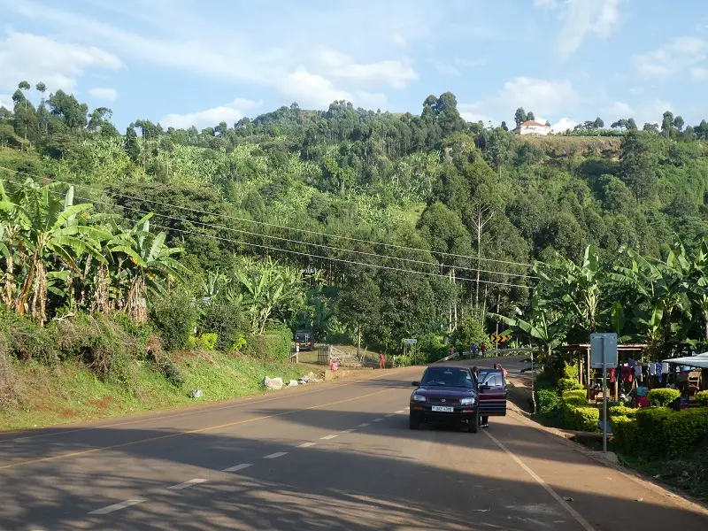 P1050484.JPG