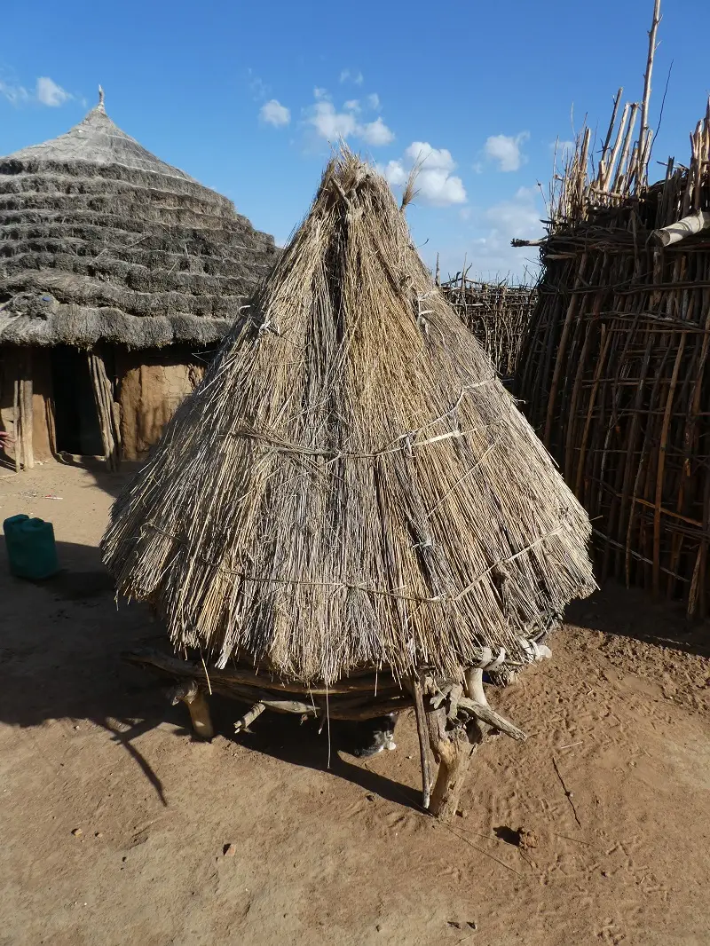 P1050573.JPG