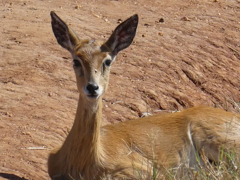P1050747.JPG
