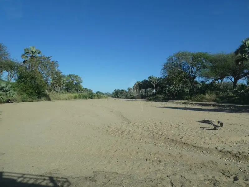 P1050817.JPG