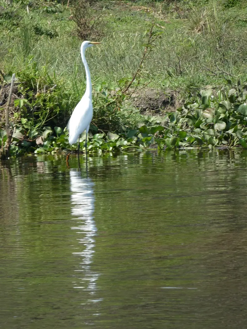 P1060155.JPG