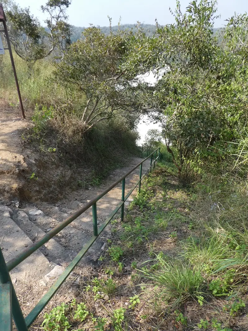 P1060361.JPG
