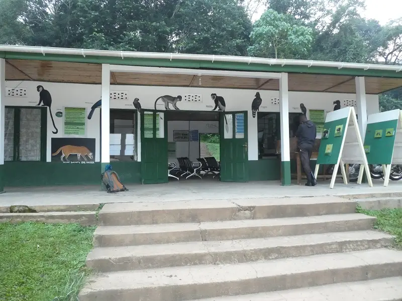 P1060446.JPG