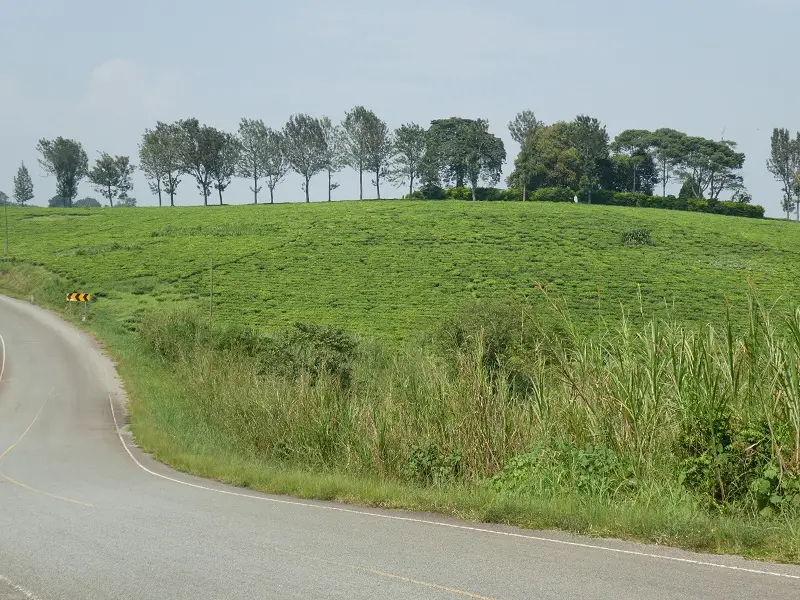 P1060640.JPG