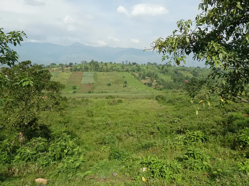 P1060643.JPG