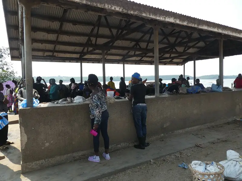 P1060870.JPG