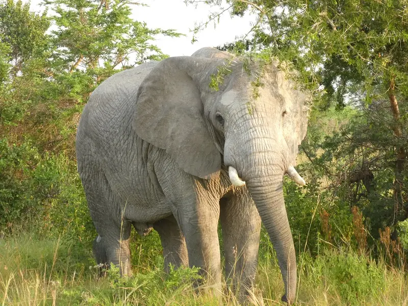 P1060968.JPG