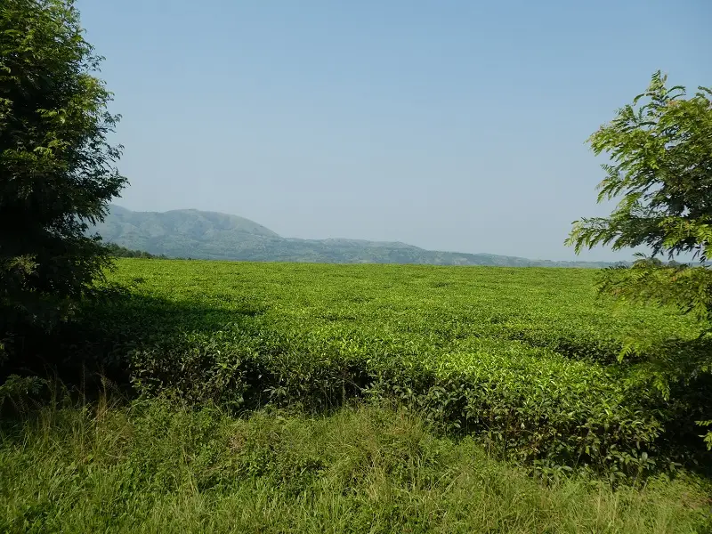 P1070001.JPG