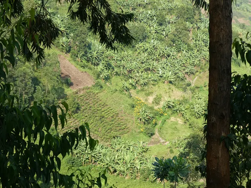P1070102.JPG