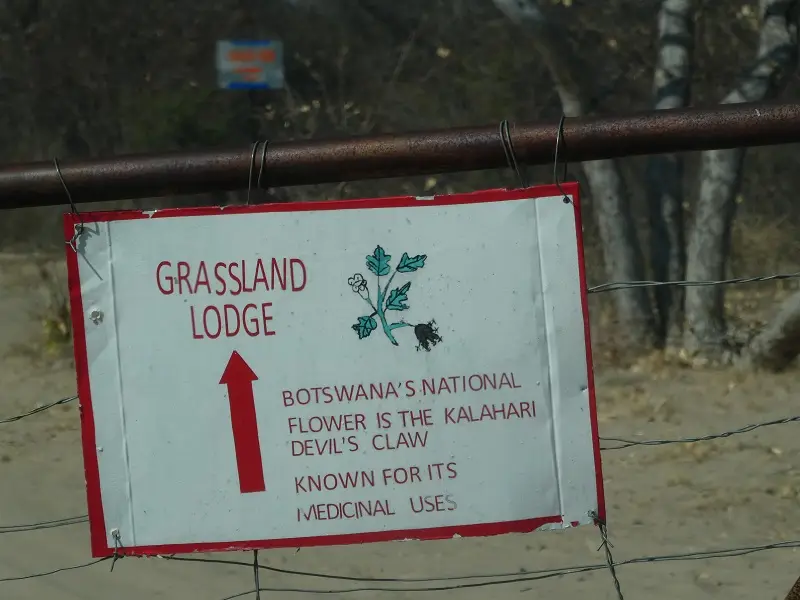 P1070822.JPG