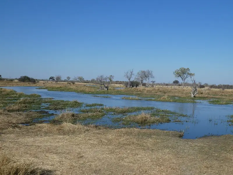 P1080338.JPG