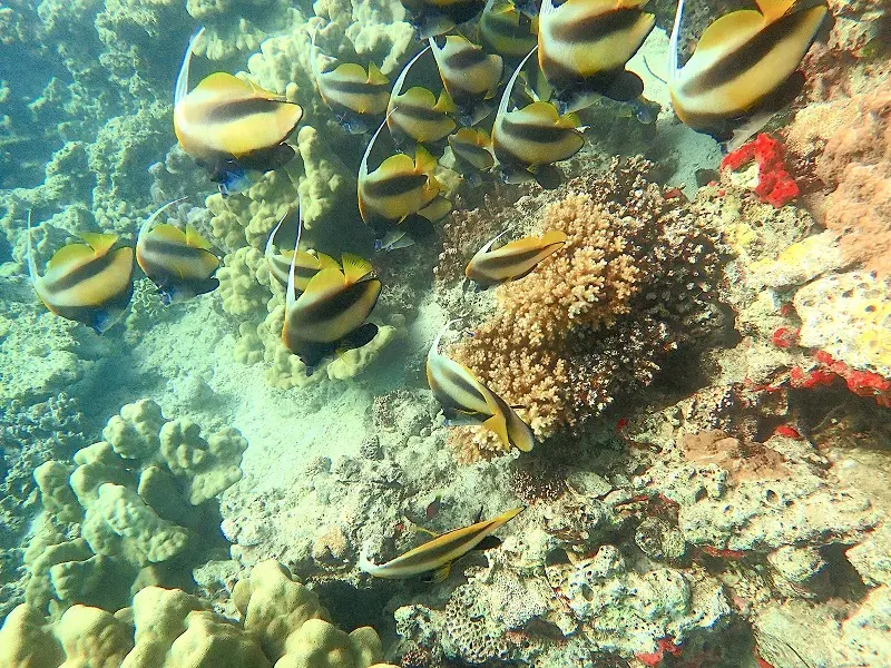 P1130195.JPG