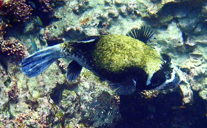 P1130244.JPG