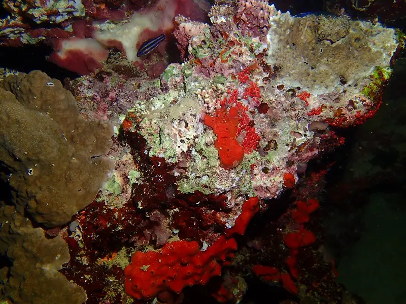 P1130266.JPG