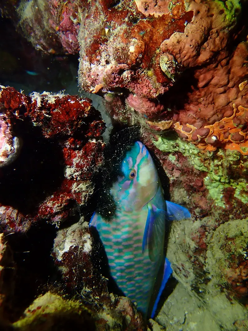 P1130338.JPG