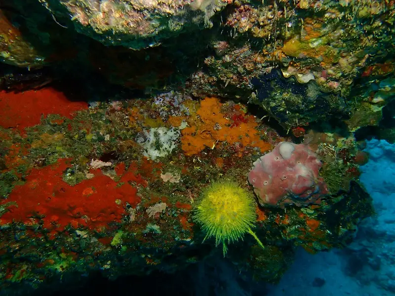 P1150673.JPG