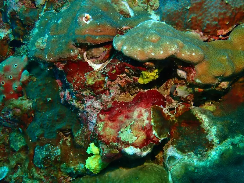 P1150684.JPG