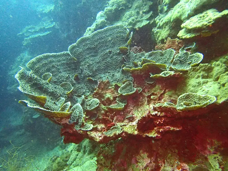 P1150719.JPG