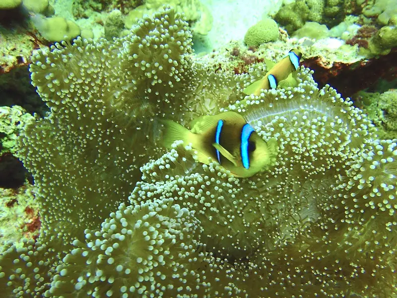 P1150735.JPG
