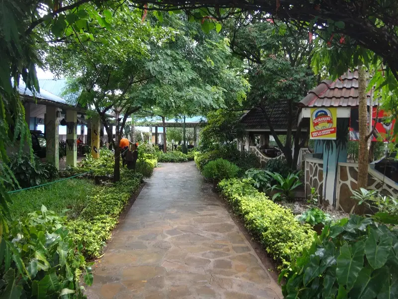 h03b55b8.JPG