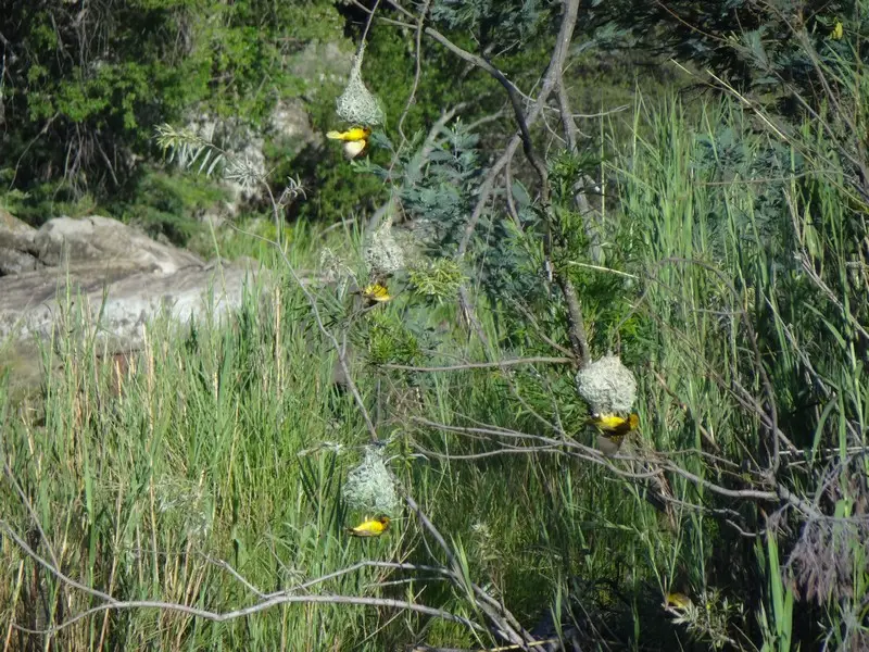 h0400181.JPG