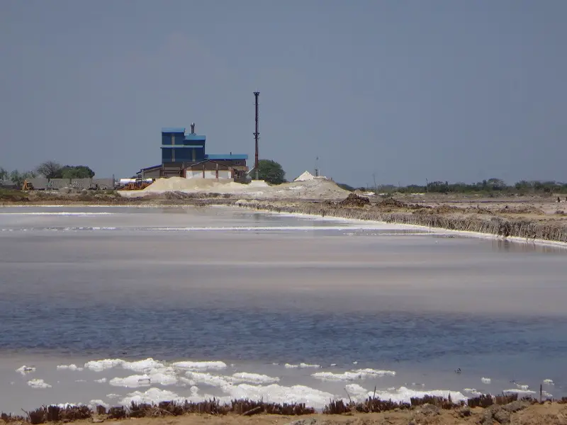 h2086f9f.JPG