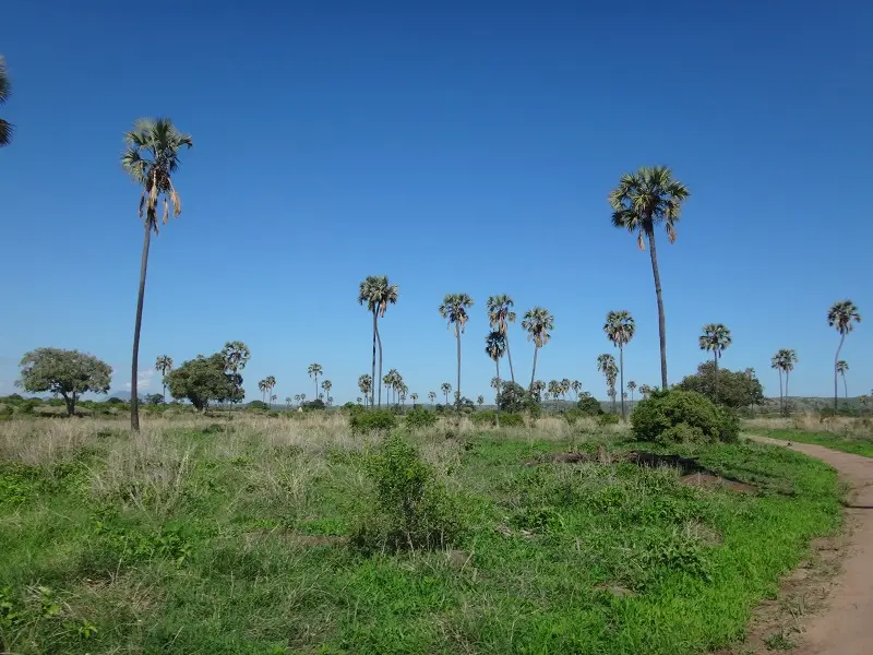 h3645792.JPG