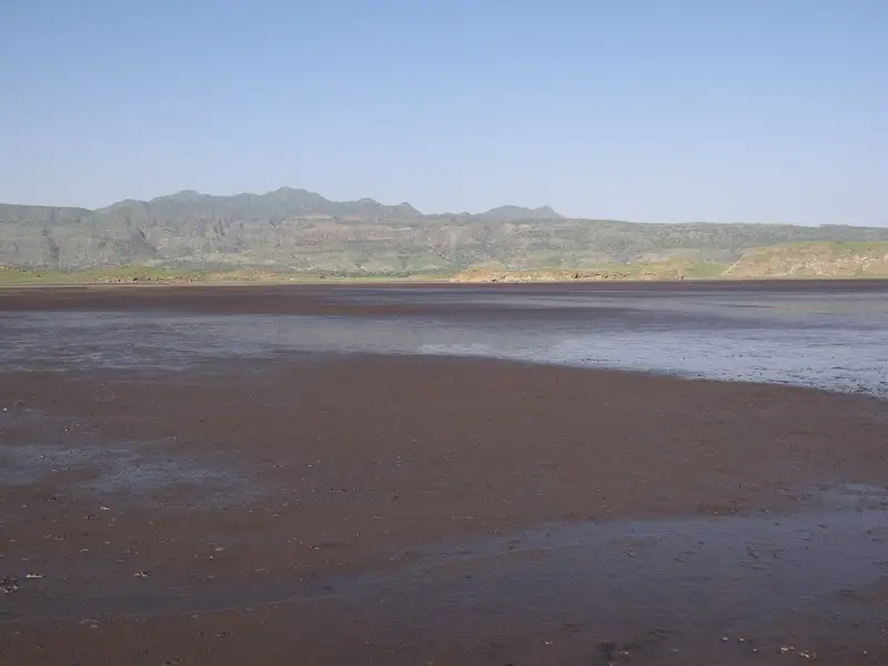 h37ea045.JPG