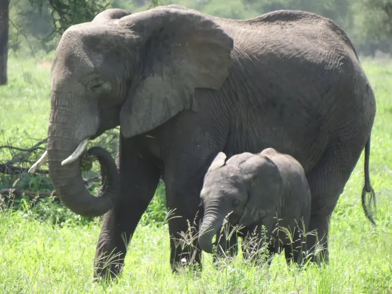 h4248309.JPG