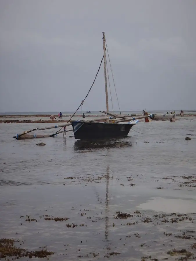 h509624a.JPG