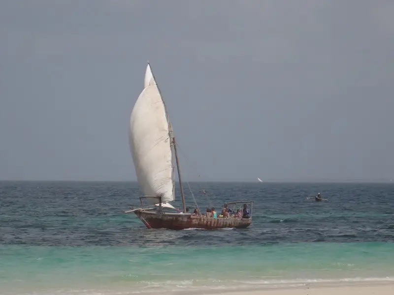 h539d000.JPG