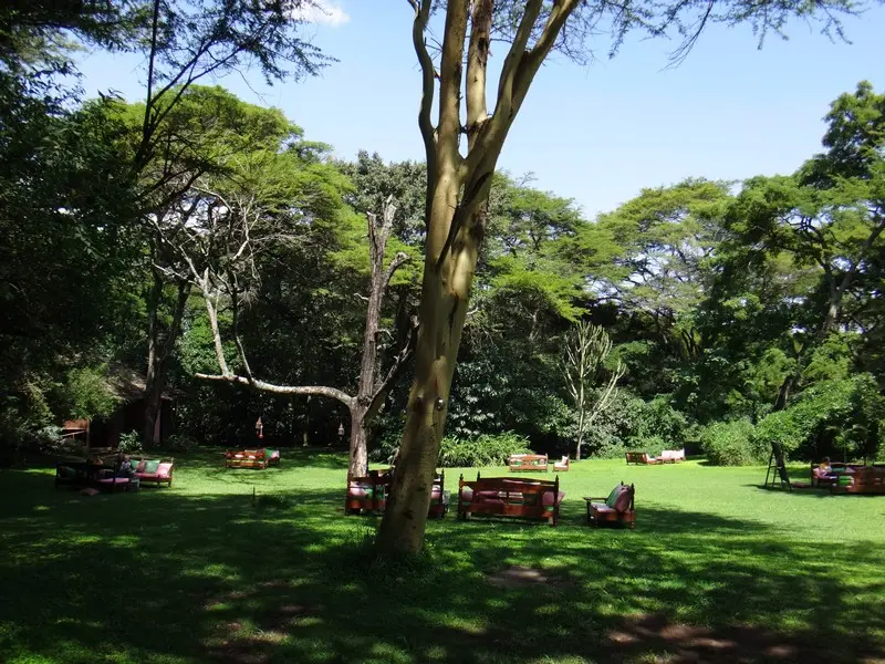 h5d29605.JPG