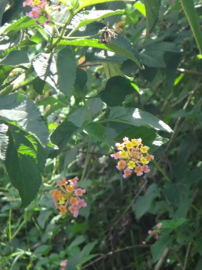h6f96985.JPG